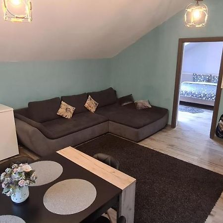 Comfort Home Apartment 3 Petroşani Dış mekan fotoğraf