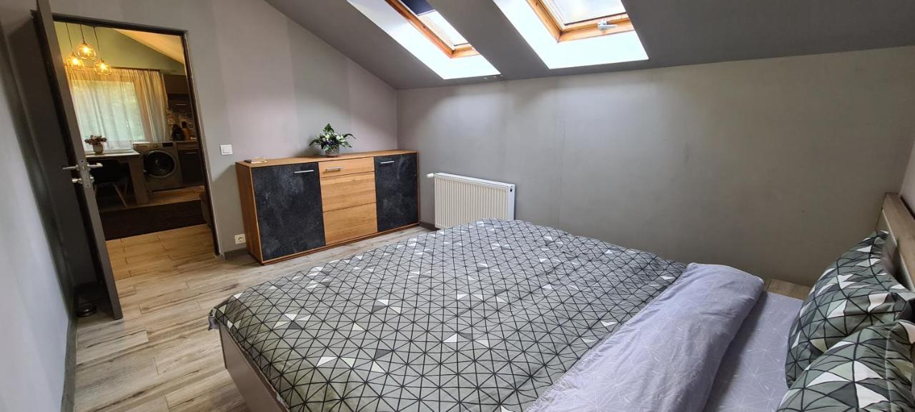Comfort Home Apartment 3 Petroşani Dış mekan fotoğraf